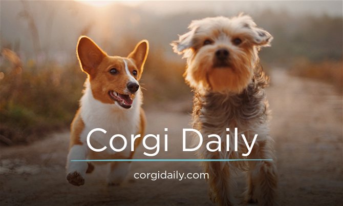 CorgiDaily.com